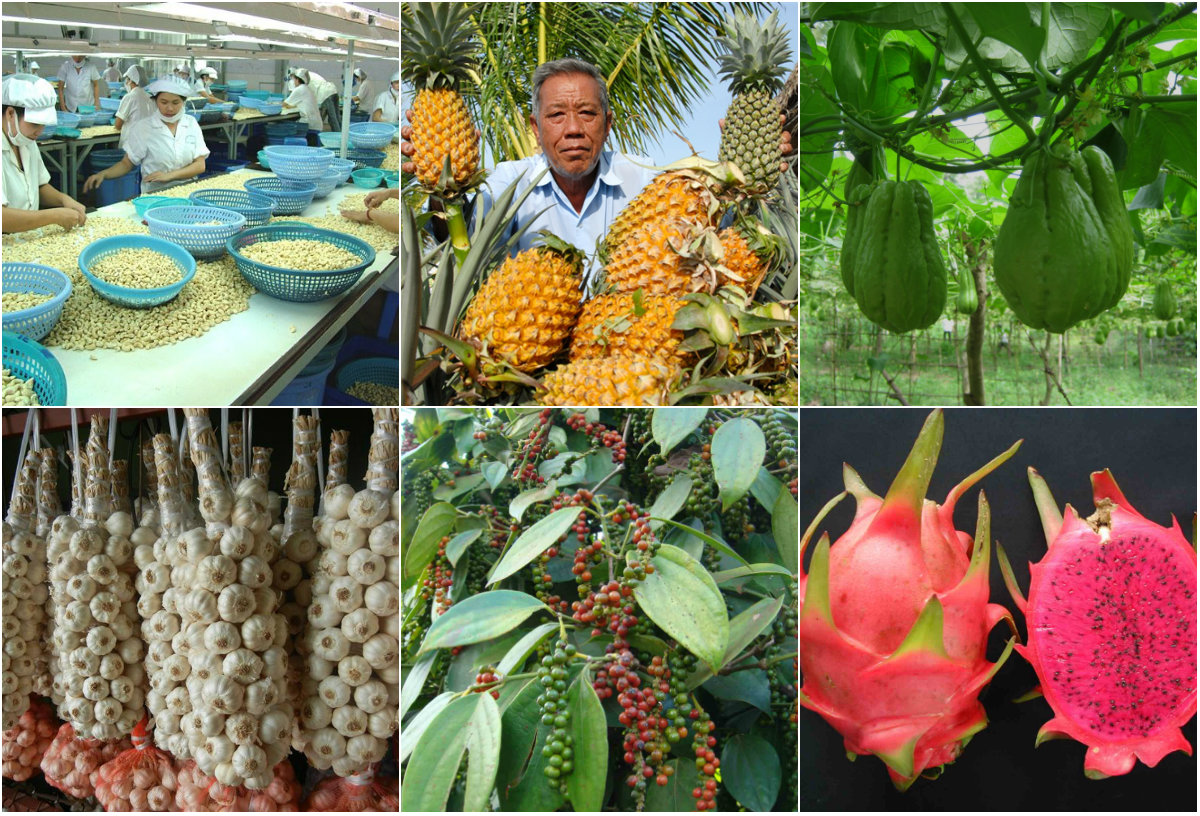 Vietnam’s agro-forestry-aquatic product exports reach 38 75 billion USD